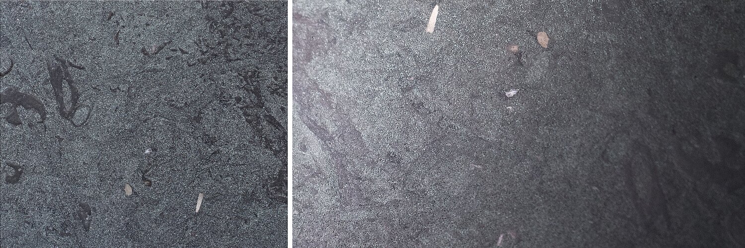 Naturstein HECK Dolphin Grey - gebürstet